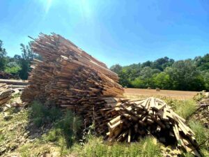 Materiale essicato da processare per la realizzazione di cippato scarti-legno-per-cippato